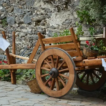 Partaitria شقة دورغالي